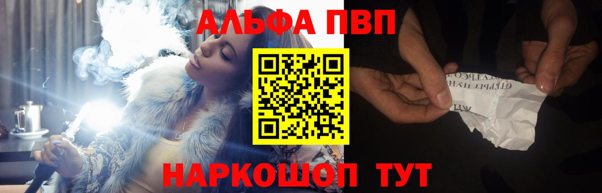 ГАШ Кингисепп