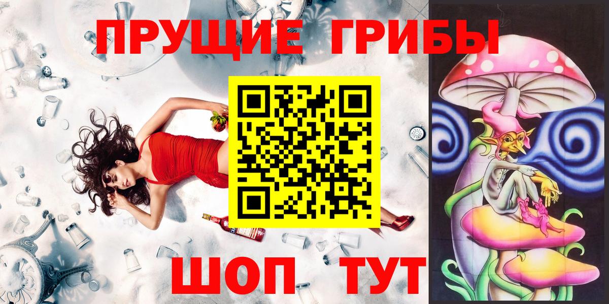 Псилоцибиновые грибы мицелий  где найти наркотики  Кингисепп  Вход с VPN 