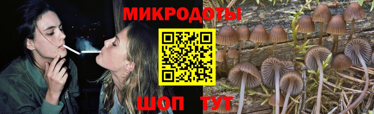 Псилоцибиновые грибы Magic Shrooms Кингисепп